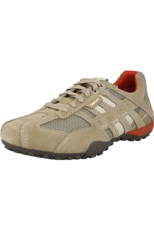 Geox Baskets basses 
