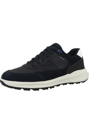 Geox Baskets basses