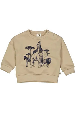 Green Cotton Sweat