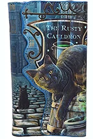 Nemesis Now Lisa Parker Rusty Cauldron Sac à Main gaufré 18,5 cm, PU, de The Magical Mind of Lisa Parker, Illustration Chaudron rouillé, élégant et Pratique, Plusieurs emplacements pour l