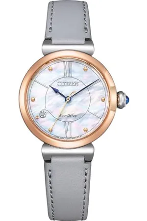 Citizen Watch EM1074-15D