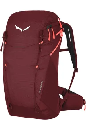 Salewa Alp Trainer 20l Backpack One Size