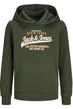 JACK & JONES Jjelogo Sweat Hood 2 Col 24/25 Noos Jnr Garçon Sweatshirt à capuche, , 164