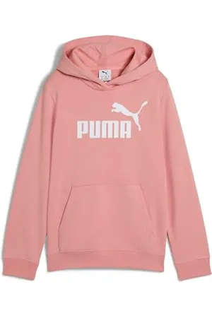 PUMA ESS No. 1 Logo Hoodie TR G, Sweats à Capuche Fille, , 140