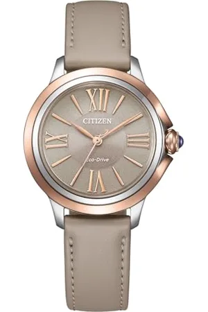 Citizen Watch EM1166-01Z