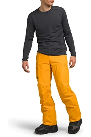 The North Face Pantalon de Neige Freedom pour Homme, , Taille L