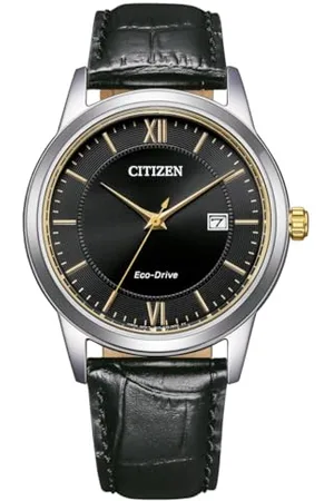 Citizen Hommes Analogique Quartz Montre AW1784-16E