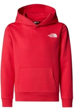 The North Face NF0A8AXV6IE Teen Simple Dome Hoodie T-Shirt Unisex Taille S