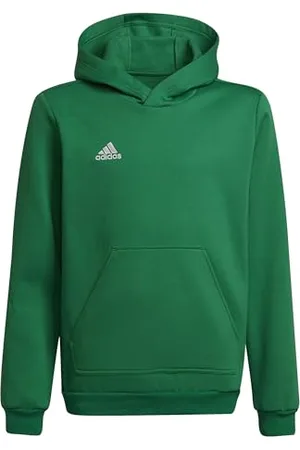 adidas Entrada 22 Sweat Hoodie Hooded Mixte Enfant, , 13-14 Years