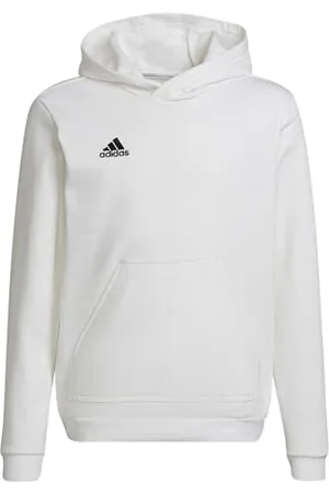 adidas Entrada 22 Sweat Hoodie Hooded Mixte Enfant, , 7-8 Years