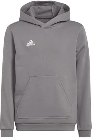 adidas Entrada 22 Sweat Hoodie Hooded Mixte Enfant, , 9-10 Years