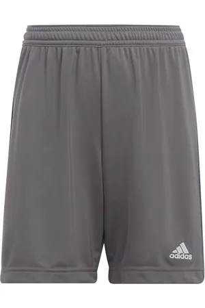 adidas Entrada 22 Shorts Mixte Enfant, Team Grey Four, 7-8 Years