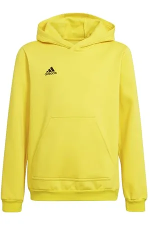 adidas Entrada 22 Sweat Hoodie Hooded Mixte Enfant, , 7-8 Years