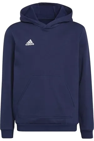 adidas Entrada 22 Sweat Hoodie Hooded Mixte Enfant, , 7-8 Years
