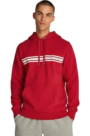Tommy Hilfiger Central Chest Stripe Hoody MW0MW38332 Sweat à Capuche, , L Homme