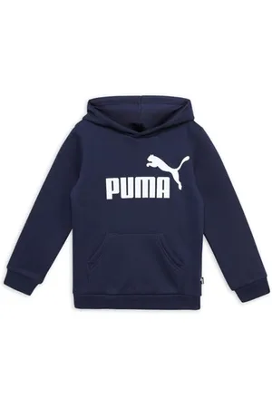 PUMA Mixte À Capuche Essentials Big Logo Sweatshirt, , 116 EU