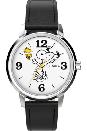 Timex Watch TW2Y19900