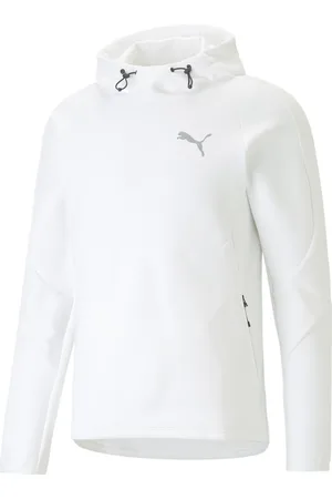 PUMA Sweat à capuche Evostripe Dk