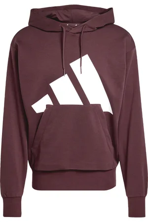 adidas Sweatshirt à capuche Essentials Big Logo
