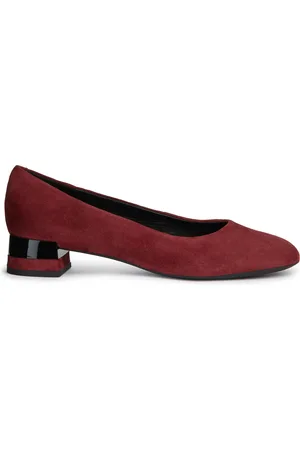 Geox Ballerines en Velours de Cuir Chloo