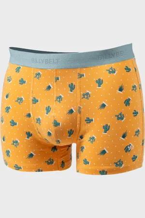 Billybelt Boxer en coton biologique Saguaro