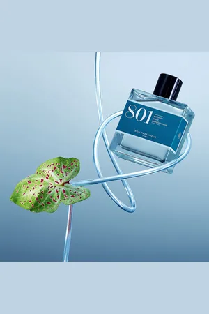 Bon Parfumeur Eau de parfum 801 aux embruns, au cèdre et au pamplemousse