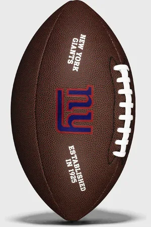 Wilson NFL LICENSED BALL NG men Sports Equipment