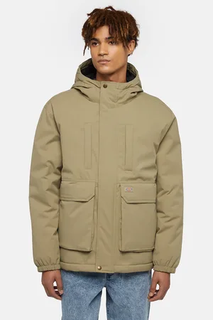 Dickies Veste Plains Homme