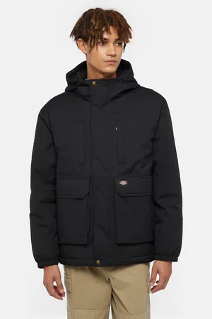 Dickies Veste Plains Homme