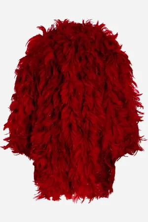 Dolce & Gabbana Manteau En Organza Avec Plumes De Coq - Femme Manteaux Et Blousons Plumes 38