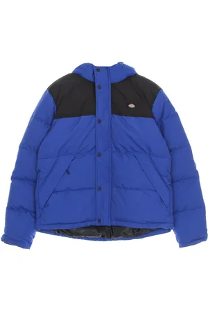 Dickies Glacier View Coat Doudoune Homme