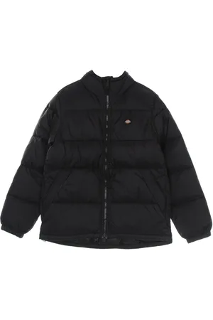 Dickies Waldenburg Jacket Doudoune Homme Noir