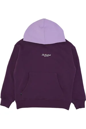 The Hundreds Sweat a capuche pour hommes Rich Pullover Violet