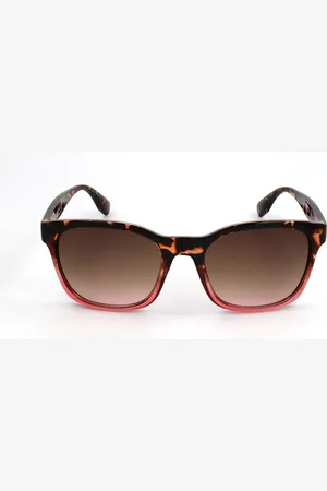 Converse SCO294 TOPI 55 Lunettes De Soleil Femme Tortoiseshell