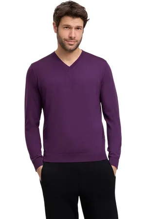Falke Hommes Pull-over col en V