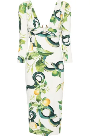 Roberto Cavalli Robe mi-longue à imprimé serpent