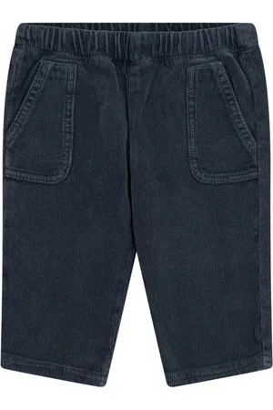 Etro Pantalon Pegaso en velours