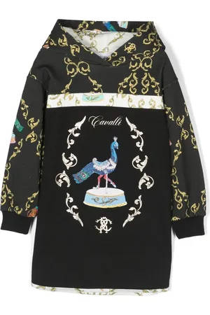 Roberto Cavalli Hoodie à imprimé graphique