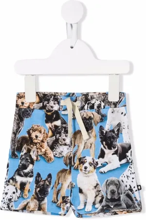 Molo Short à imprimé chiens