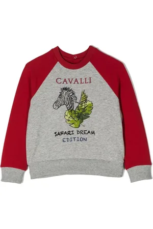 Roberto Cavalli Sweat à imprimé graphique