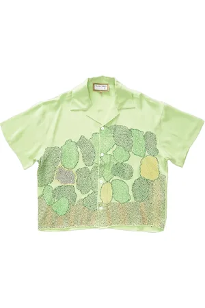 Glass Cypress Chemise Trees On 