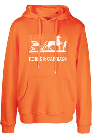 MOSTLY HEARD RARELY SEEN Hoodie Horse & Carriage