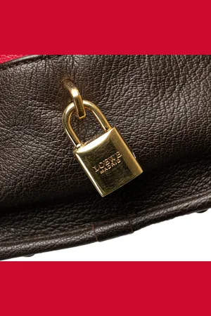 Loewe Sacs bandoulière, 2012 Tricolor Leather Amazona 36 en