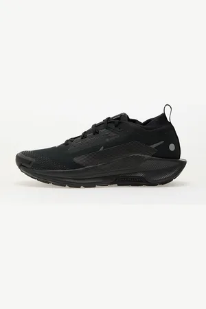 Nike Baskets Pegasus Trail 5 Gore-Tex / -Anthracite EUR 44