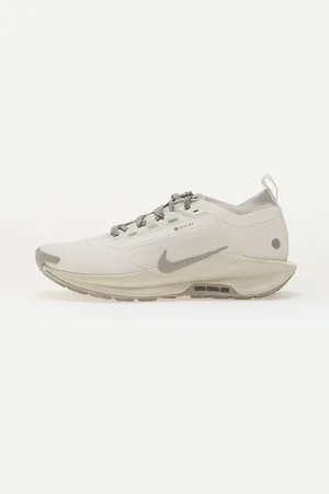 Nike Baskets Pegasus Trail 5 Gore-Tex / College Grey-Light Bone EUR 44