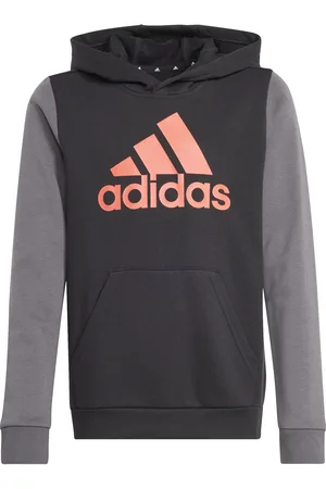 adidas Sweatshirt à capuche enfant Essentials Big Logo Colorblock