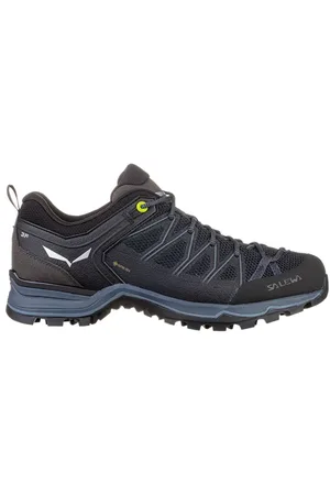 Salewa Mountain Trainer Lite Gore-Tex Homme