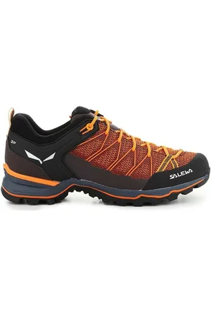 Salewa Mountain Trainer Lite Homme