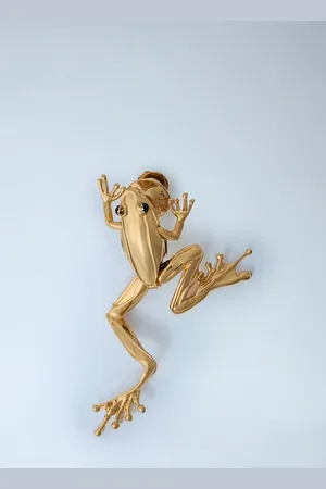 Bottega Veneta Small Rana Brooch - Femme Bijoux One Size