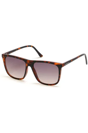 Guess Homme, Accessoires, Brun, Taille: ONE Size Lunettes de Soleil en Résine Marron Violet Catégorie 3